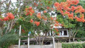 Hotel Green Hotel